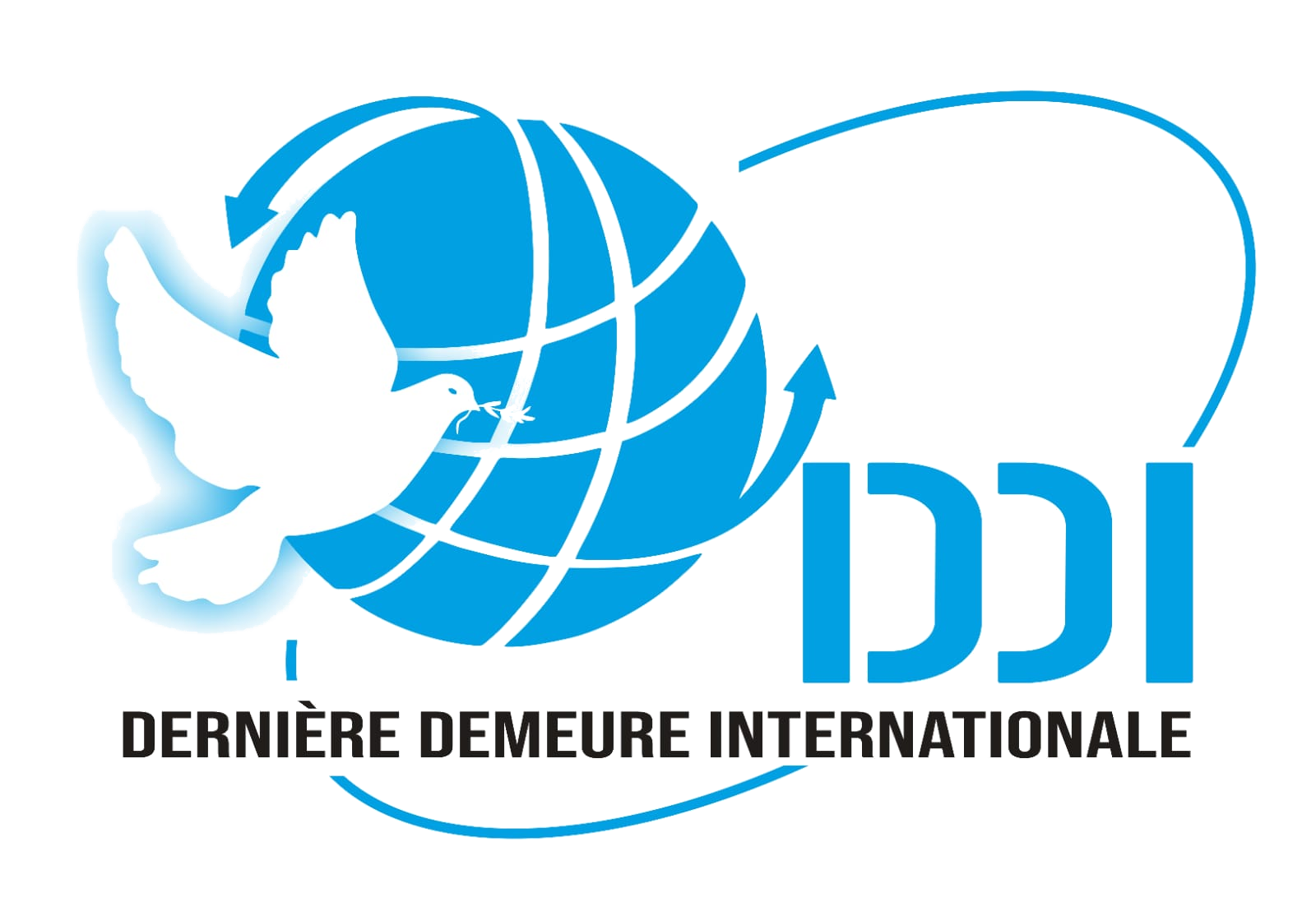 Logo DDI